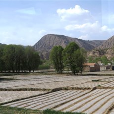 Between Lanzhou and Xiahe - plastic fields